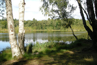 boellemosen_200x135