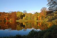 enrum_dam_efteraar_200x134