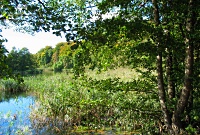 kikhaneengen_200x135