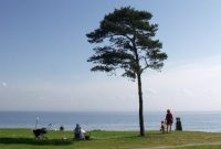 vue_over_oeresund_508x370_foto_jean_schweitzer