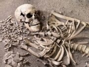 Kulturbrisen – Vedbækfundene vedbaekfundene_-_2023_v1-Original